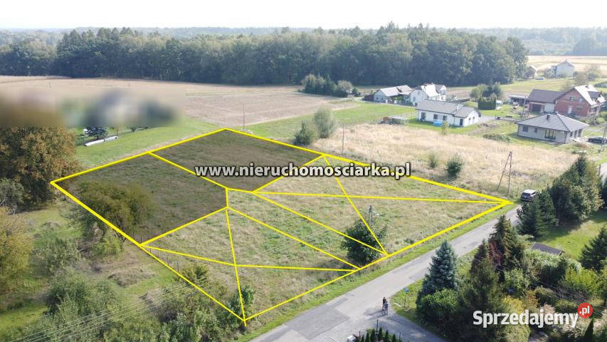 Grunt Zebrzydowice 4984m2 Grunty i działki