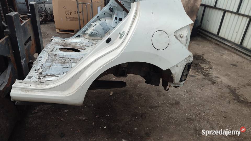 BLOTNIK PAS ĆWIARTKA PODŁUŻNICA PRAWA LEWA TYŁ osobowe Włoszczowa