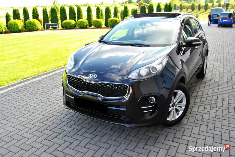 Kia Sportage Oryginał lakier Udokumentowany światła do jazdy dziennej Sportage Modliborzyce