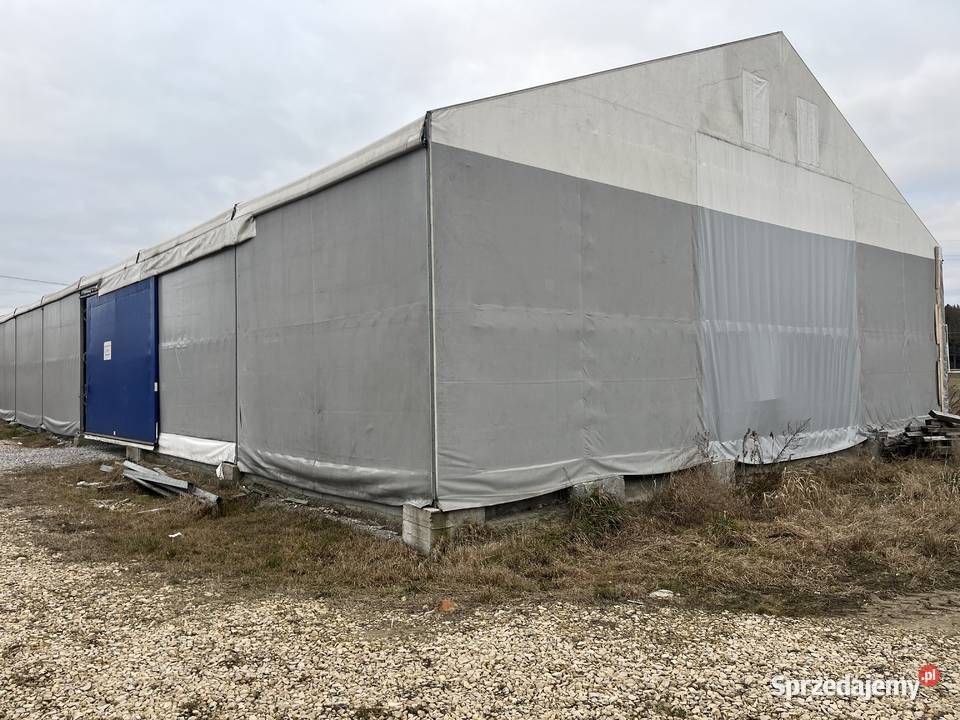 hala namiotowa używana 14x30 m wys4 stan ocynk Jasień