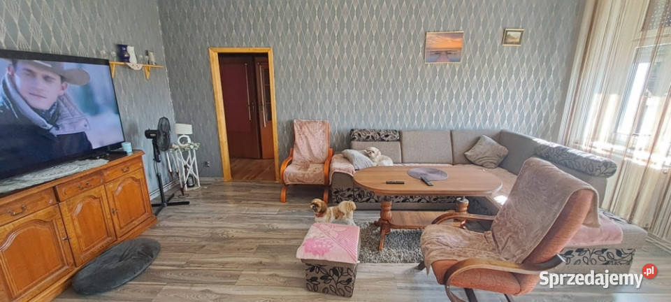 Sprzedam mieszkanie Krzydlina Mała 7239 m2 Piętro 1 dolnośląskie