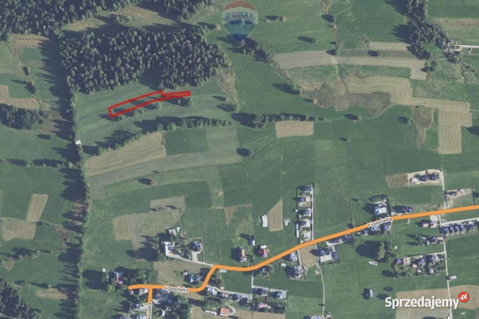 DZIAŁKA ROLNA SPRZEDAŻ ZĄB LIGASÓWKA Ząb