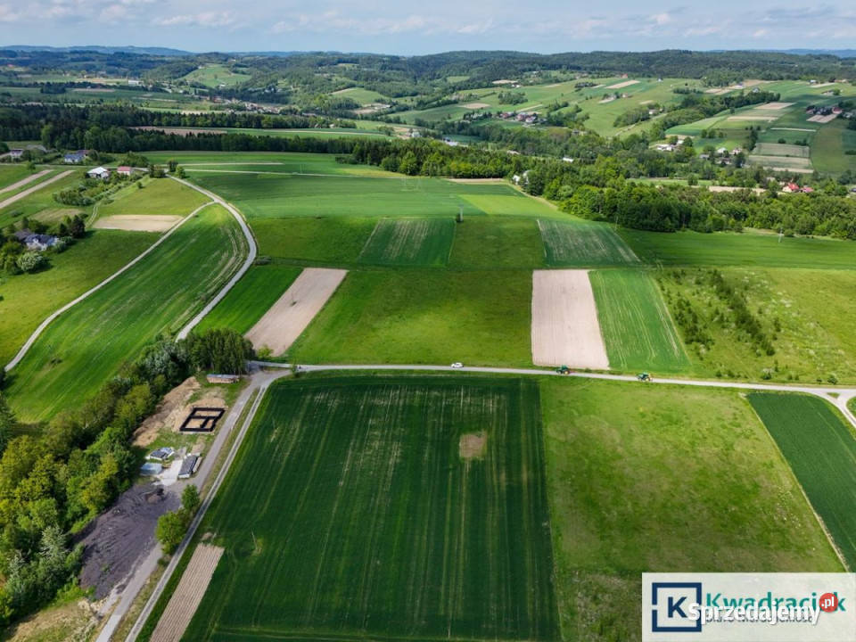 sprzedaży działki 10500m2 Czermna małopolskie