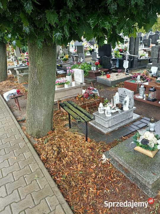 odstąpię miejsce na cmentarzu Łódź Kurczaki łódzkie sprzedam