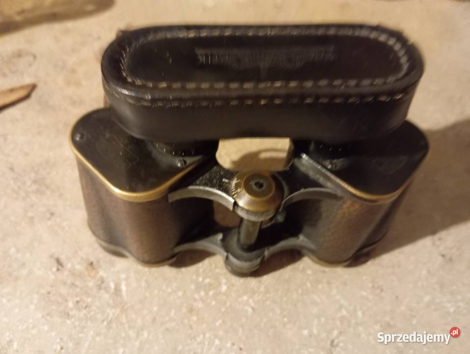 Porządki domowe lornetka śląskie