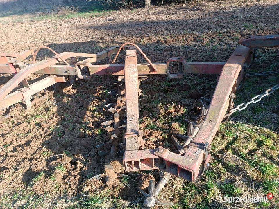 Brona Łopatkowa talerzówka mazowieckie Płock