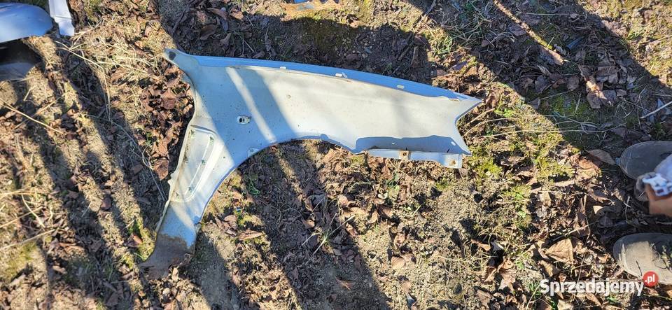 Błotnik Lewy Prawy Hyundai Coupe 2 Lakier LS małopolskie Żabno sprzedam