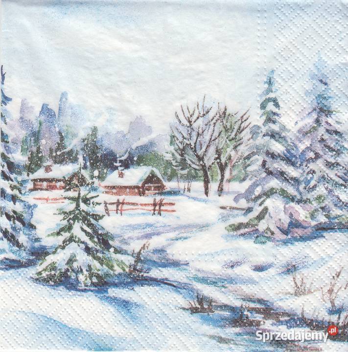 Dekupaż Boże Narodzenie zima ptaszki sikorki Skarżysko-Kamienna sprzedam