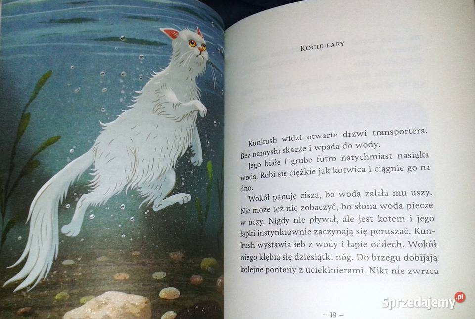 Kot który zgubił dom Ewa Nowak Chełm