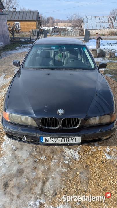 BMW E39 528 Sedan / Limuzyna Momocicha