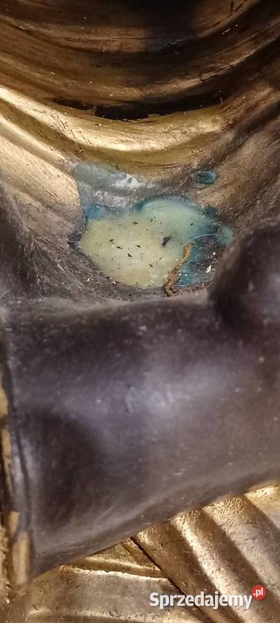 W POZNANIU KUP Z ZYWICY 45 WYSOKA BUDDA Środa Wielkopolska