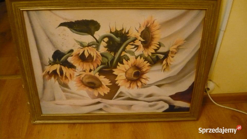 Obraz SŁONECZNIKI Myszków