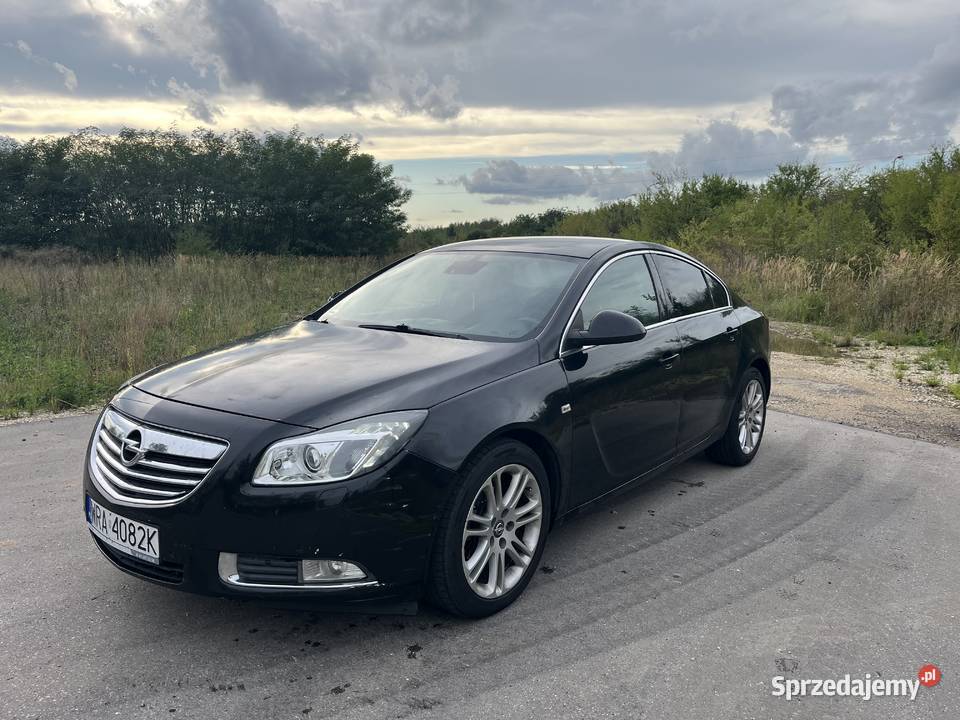 OPEL INSIGNIA Wierzbica sprzedam