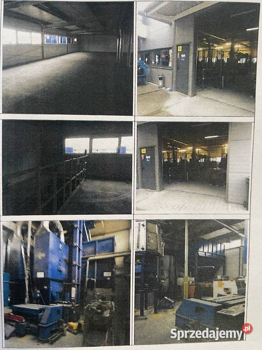 syndyk sprzeda zcp elektrownię linie pellet Syndyk sprzeda Syndyk sprzeda Dąbrowa Górnicza