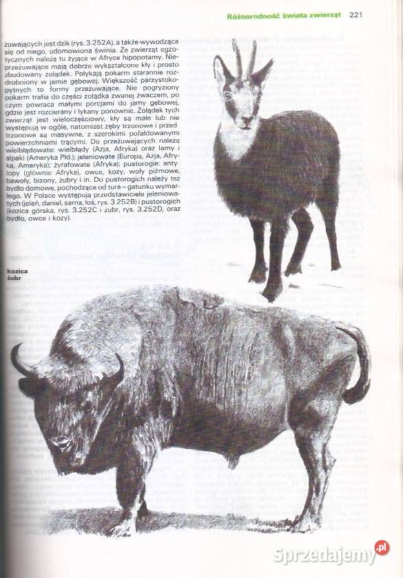 Biologia ze ŚlimakiemPWRiL 1989 Łódź