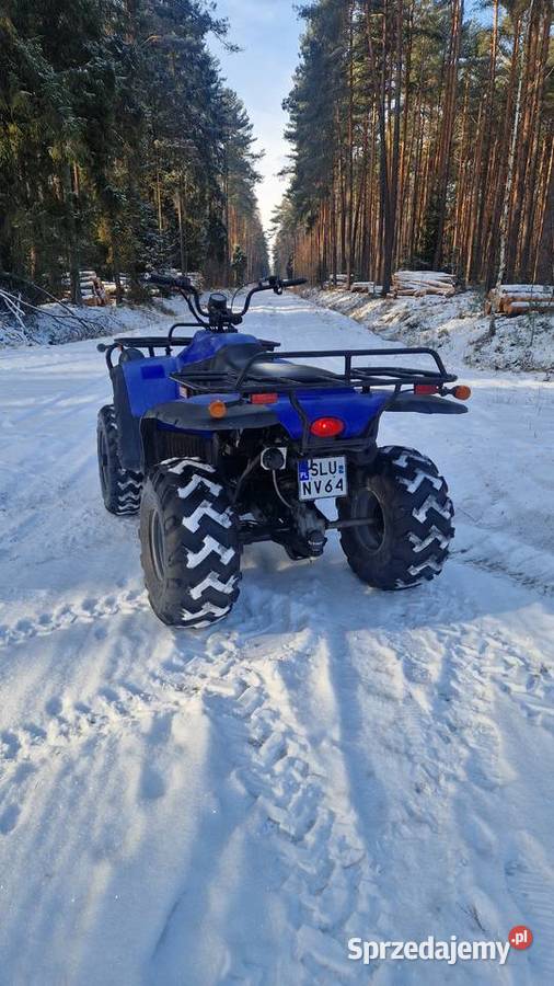 Linhai Ranger 260 Woźniki