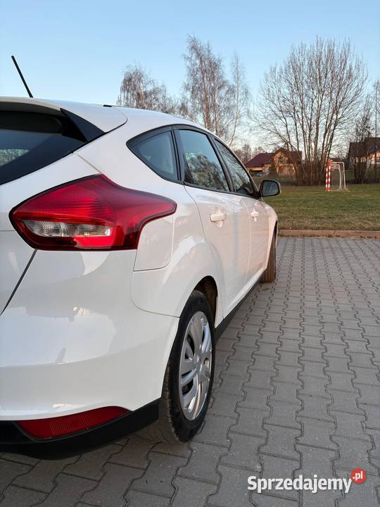 Ford Focus 15 tdci Polski Salon Rzeszów