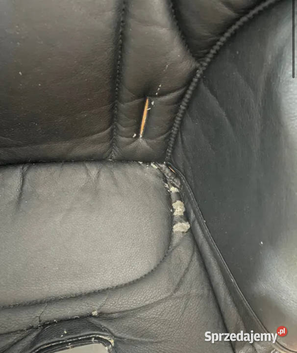 Krzesełko do karmienia Sestino dolnośląskie