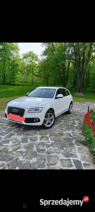 AudiQ5 20 nieuszkodzony małopolskie Korzenna