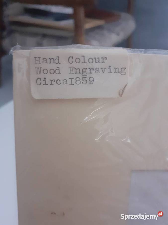 100letni wycinek z gazety malowany ręcznie Tarnów sprzedam