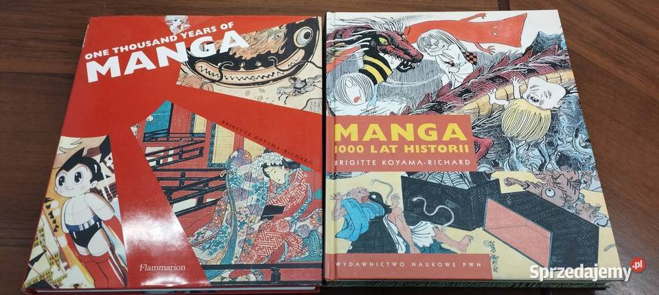 Sprzedaję Ksiązkę Manga 1000 lat historii Pozostałe Szczecin