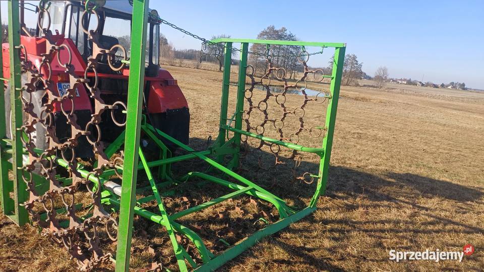 Włóka łąkowa Olesno