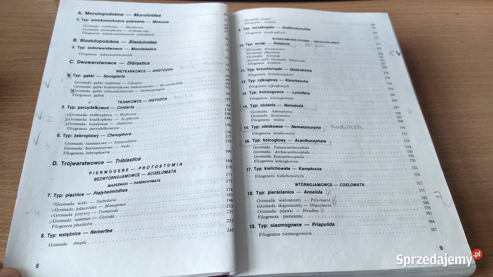 Bezkręgowce podstawy morfologii funkcjonalnej twarda Gdańsk