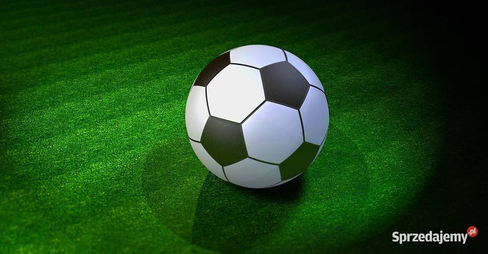 Trawa z rolki Trawa prosto z plantacji trawa Katowice