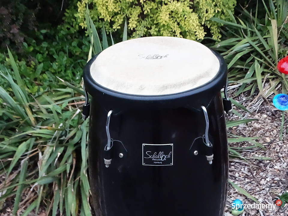 Conga Schalloch Percussion 11 34 Statyw Wys 110 Biłgoraj