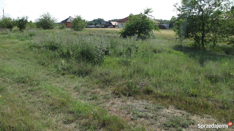 Działka na sprzedaż Węglew Kolonia 48zł/m2 Węglew sprzedam