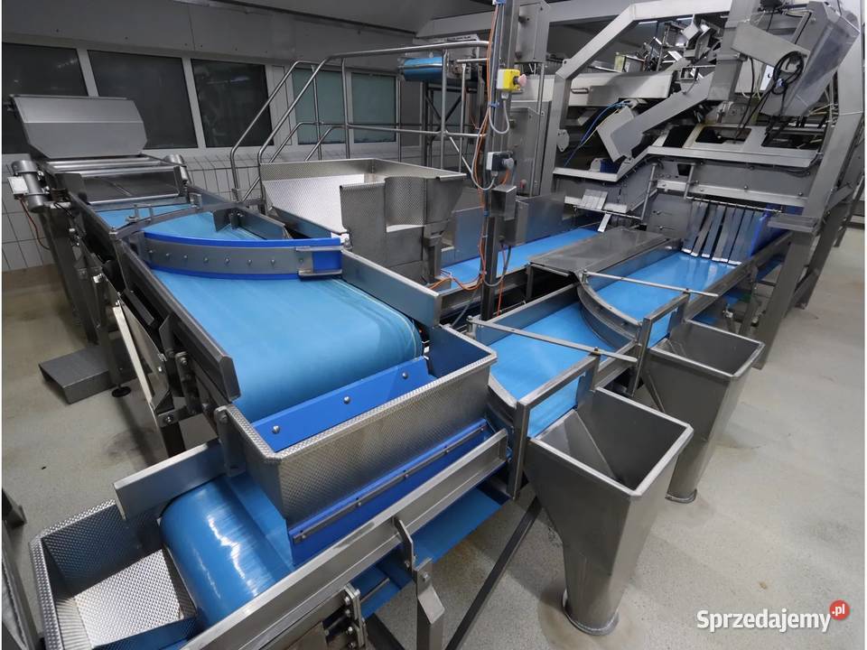 Odenberg Tomra Linia sortowania ziemniaków