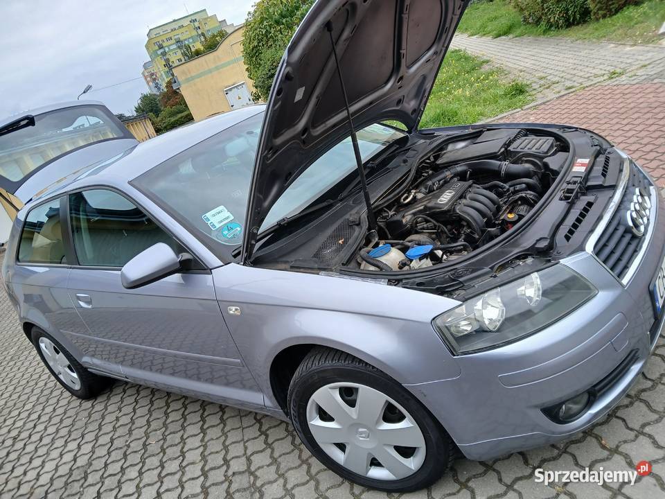 AUDI A 3 8P 16MPI 20032004 zadbana klimatronik kujawsko-pomorskie
