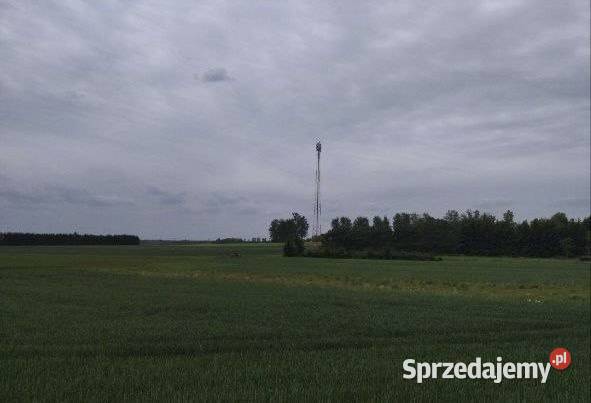 Działka pod banery S11 Lotyń