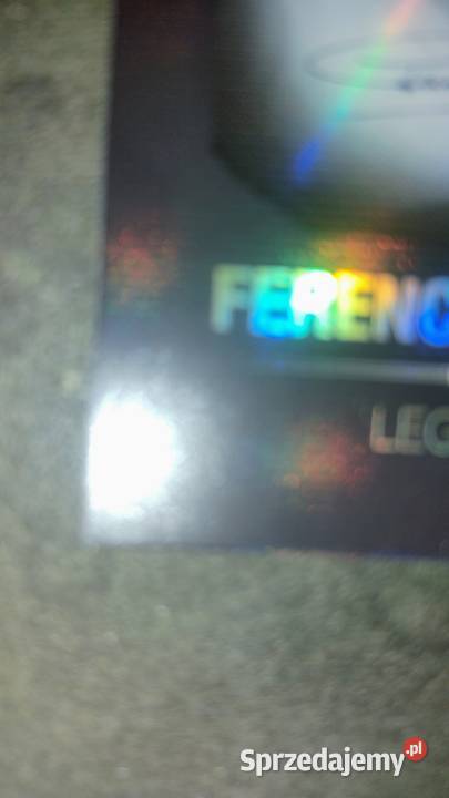 Autograf Ferenc pusks 20152016 Międzychód