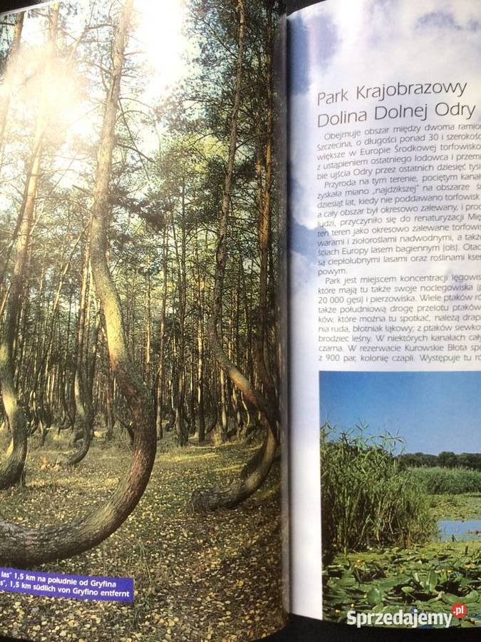 170 Gryfino Antykwariat zachodniopomorskie Szczecin