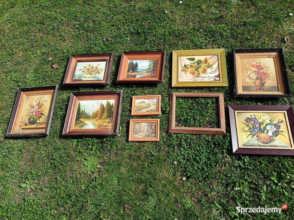 Obrazy obrazki Sokołów Małopolski sprzedam