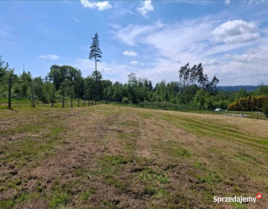 WIELORODZINNA działka Kudowa Zdrój pod Kudowa-Zdrój