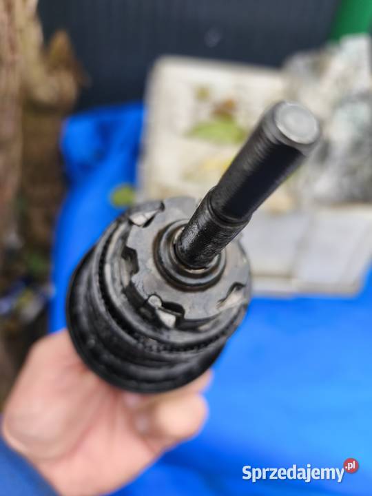 Shimano Nexus 7 Sport i Wypoczynek Inowrocław