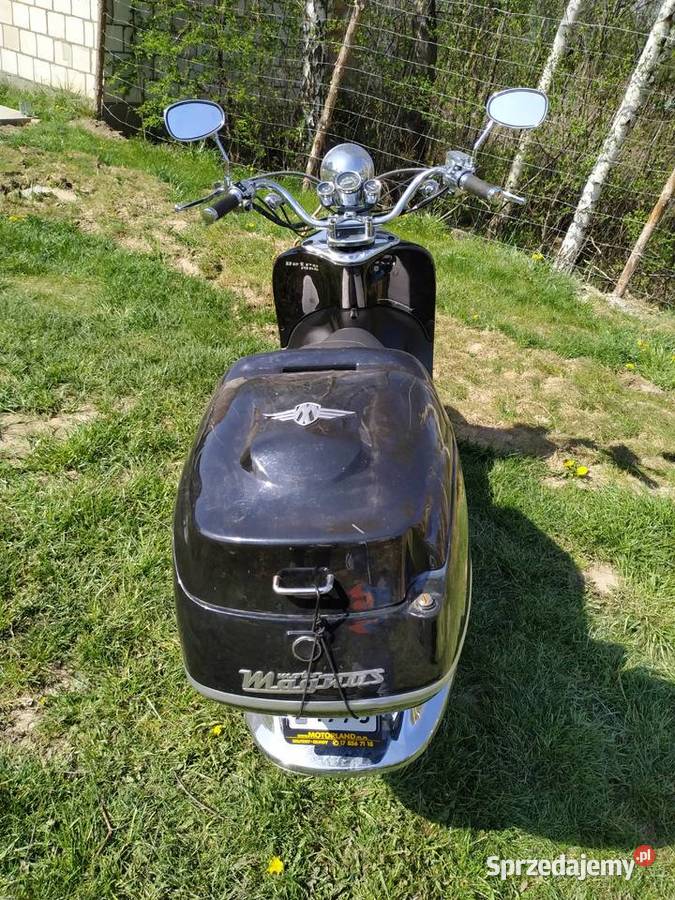 ZHONGNENG Magnus 1966 Retro