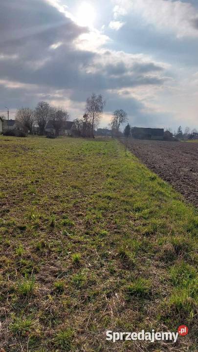 Sprzedam Działkę Kondrajec