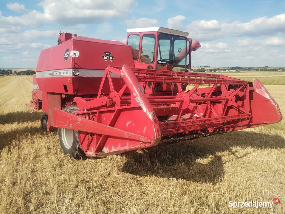 Kombajn zbożowy Massey Ferguson 487 Białowola