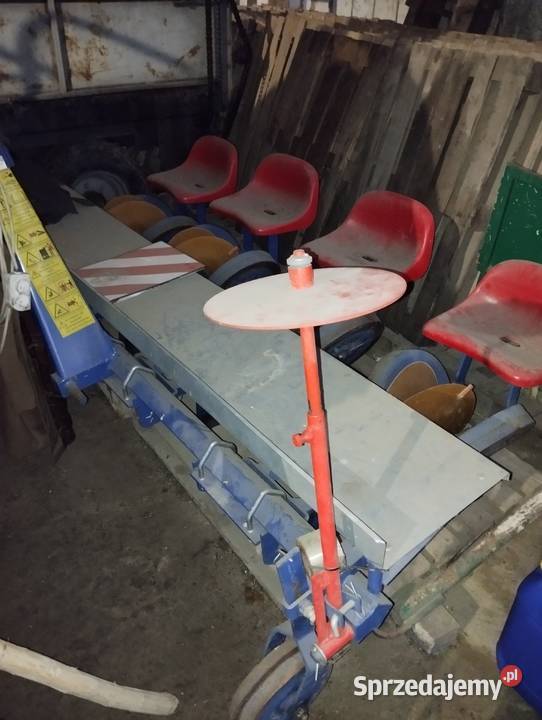 Sadzarka talerzowa 4rzedowa Szczebrzeszyn