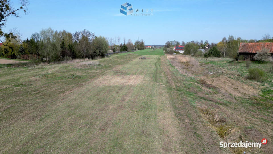 Działka Słonecznik 3154 metry Sprzedaż