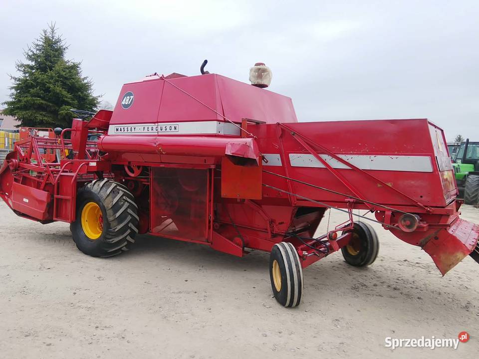 Kombajn zbożowy Massey Ferguson 487 w oryginale Massey Ferguson Zbożowe Skaryszew sprzedam