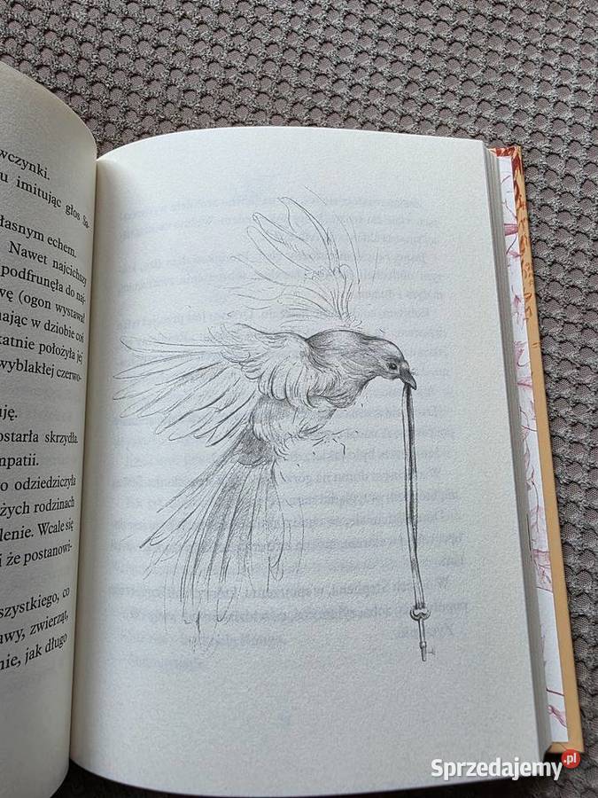 nowa Drzewo życzeń Katherine Applegate twarda Książki dla dzieci