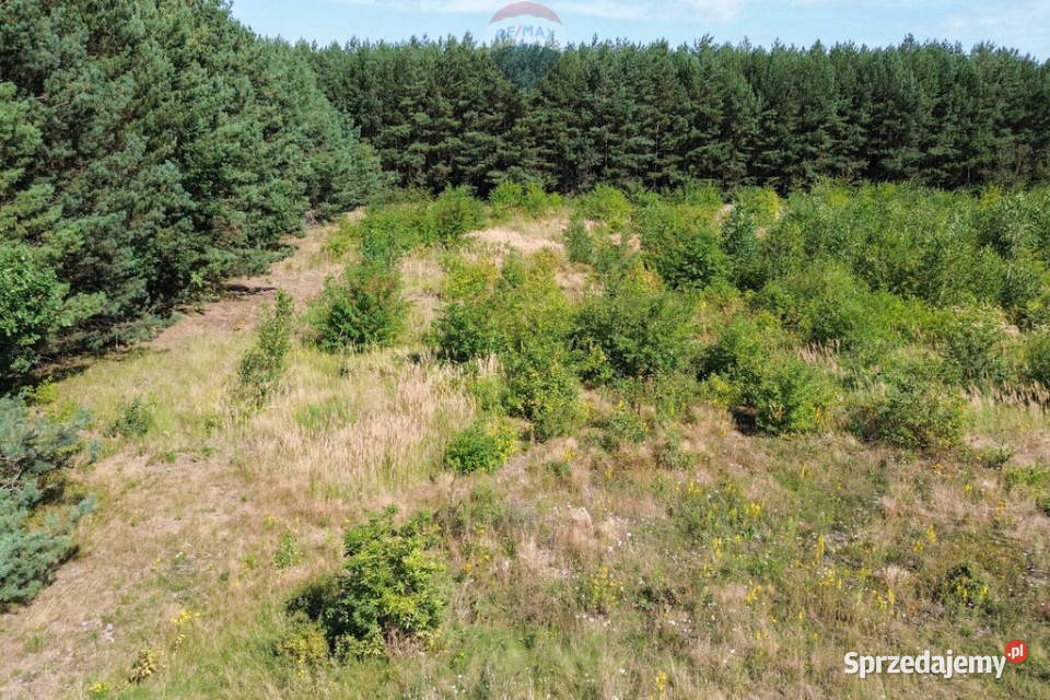 Działka budowlana z możliwością usług k Suntago Sprzedaż Marków-Świnice