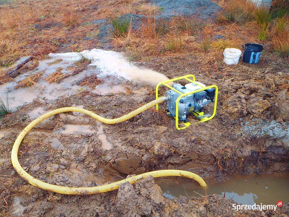 HYDROIZOLACJE OSUSZANIE ODGRZYBIANIE PIWNIC Bielsko-Biała