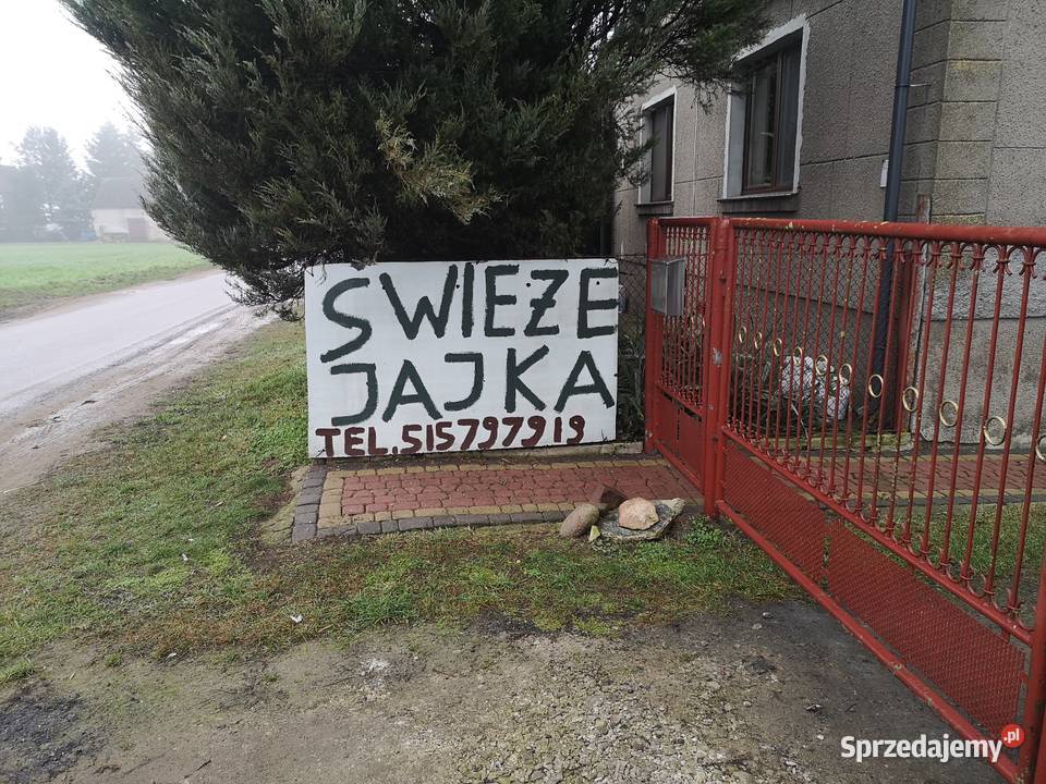 Jajka wiejskie Wilczogóra