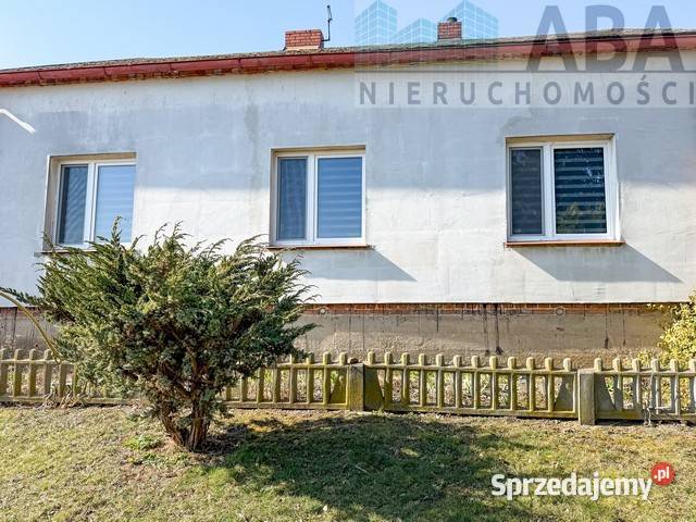 Dom wolnostojący z dużą działką 5673 m budynki parterowy Brzeźniak