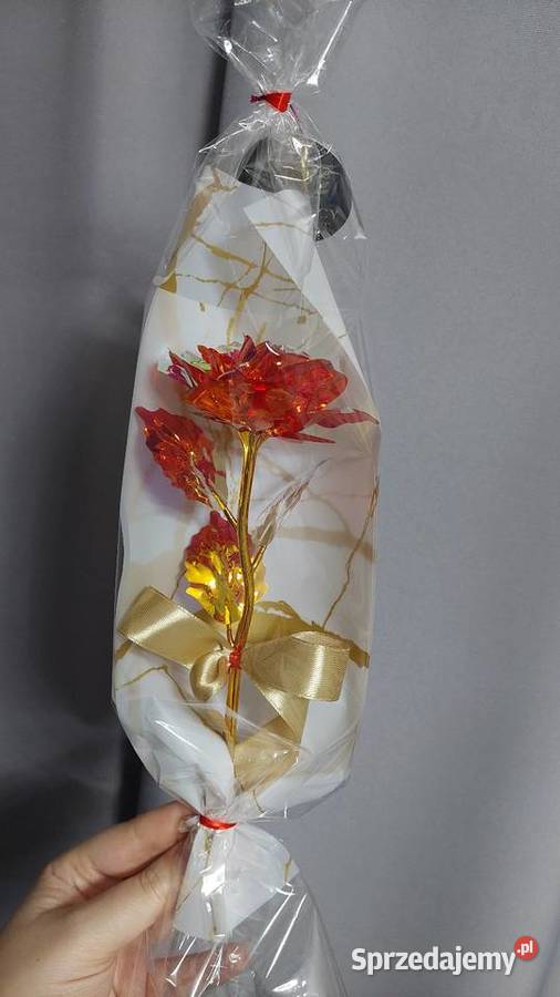 Róża na Dzień Kobiet Rybnik sprzedam